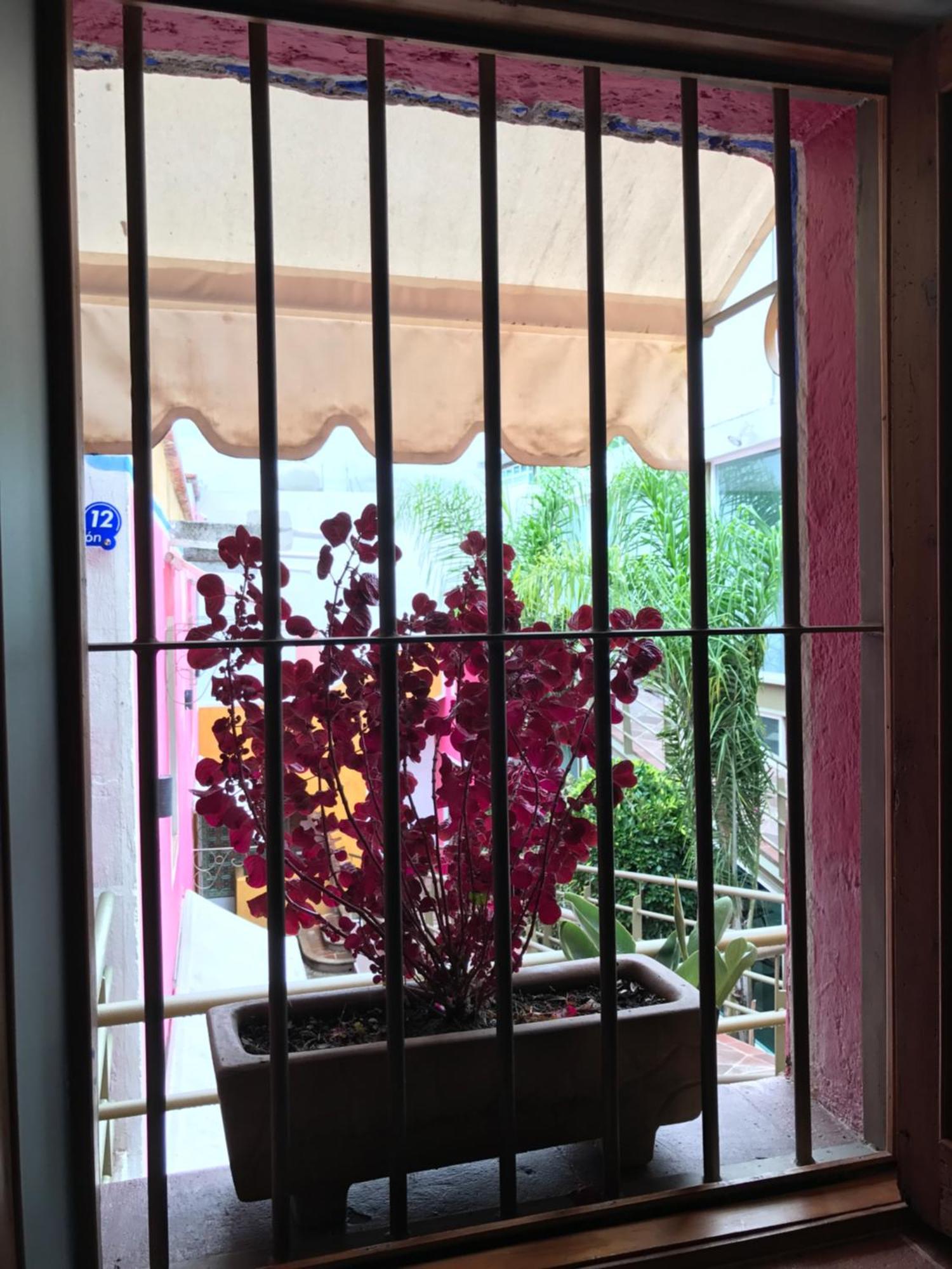 Hotel Malinalli